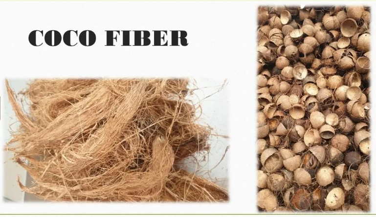 Coco Fiber