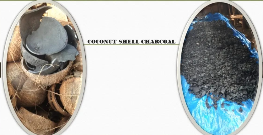 Coconut Shell Charcoal