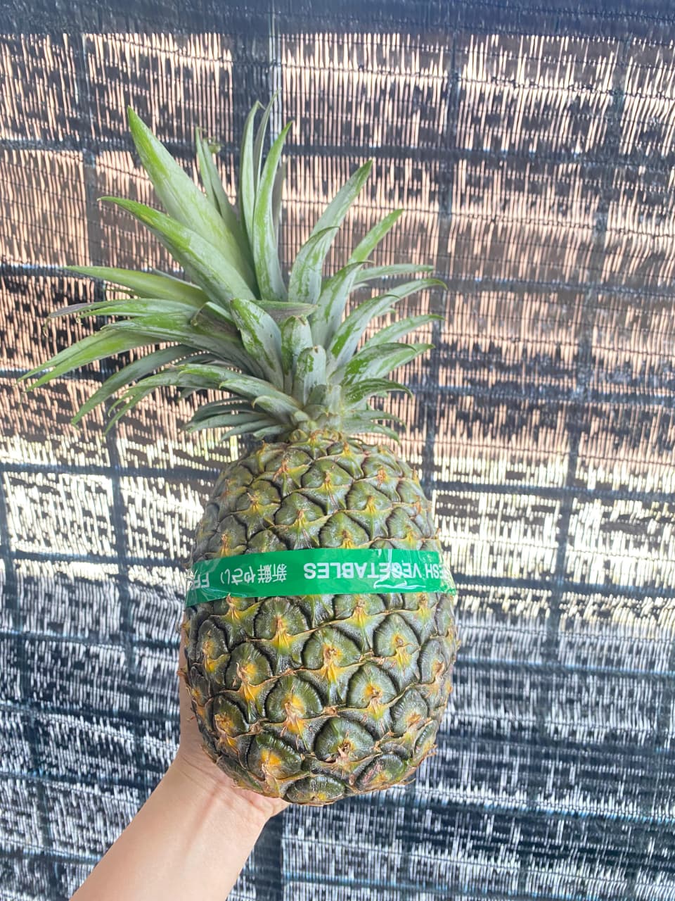 Pineapples